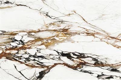 Porcelanosa XTONE Paonazzo Biondo
